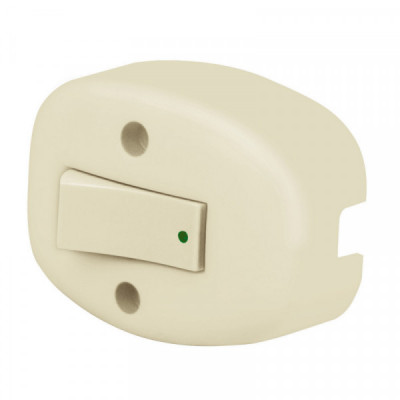 APSO-S Interruptor de sobreponer sencillo TRUPER | DIHERESA