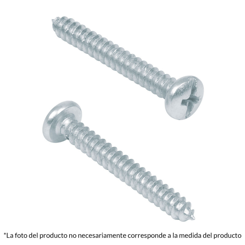 PILA-12X1 Pijas para lámina, No.12, 1', caja con 100 pzas TRUPER | DIHERESA PILA-12X1 Pijas para lámina, No.12, 1', caja con 100 pzas TRUPER | DIHERESA