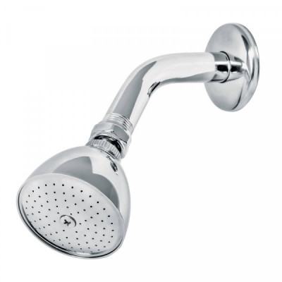 R-509 Regadera cónica, 2-1/2' con brazo y chapetón, Aqua TRUPER | DIHERESA