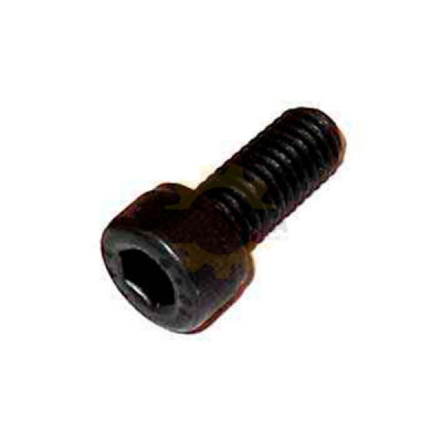 Dewalt 283817-00 TORNILLO,M5 X 12