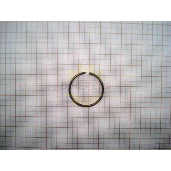 Dewalt 581836-00 ANILLO DE PRESION