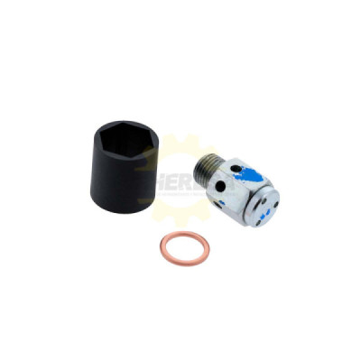 Dewalt N365761 VALVULA DE PRESION, JUEGO
