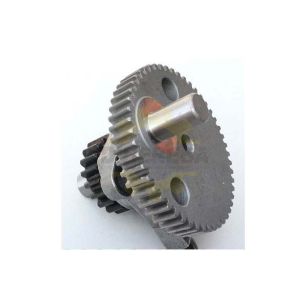 1600A005A4 RUEDA DENTADA EXCENTRICA | DIHERESA