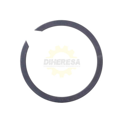 1604601027 ANILLO ELÁSTICO | DIHERESA