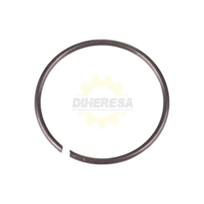 1604601028 ANILLO ELÁSTICO | DIHERESA