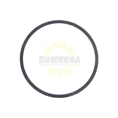 1610102036 ARANDELA DE AJUSTE | DIHERESA
