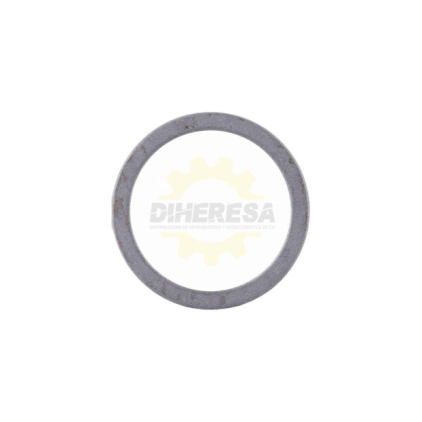 1610102045 ARANDELA DE FRICCIÓN | DIHERESA