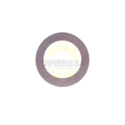 1610190029 ARANDELA PARA COJINETE A | DIHERESA