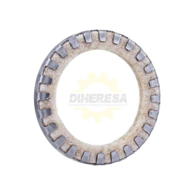 1610290069 ANILLO OBTURADOR RADIAL | DIHERESA