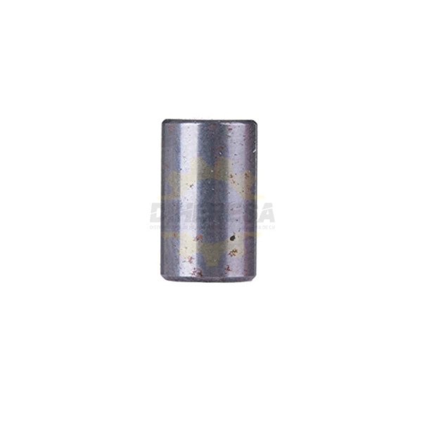 1613200019 RODILLO CILINDRICO | DIHERESA