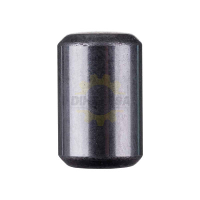 1613200020 RODILLO CILINDRICO | DIHERESA