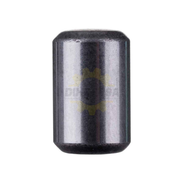 1613200020 RODILLO CILINDRICO | DIHERESA