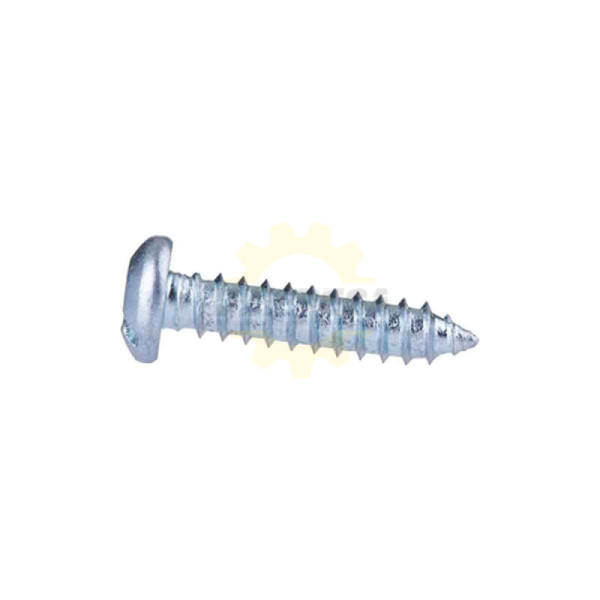 1613435010 TORNILLO AVALLANADO TORX | DIHERESA