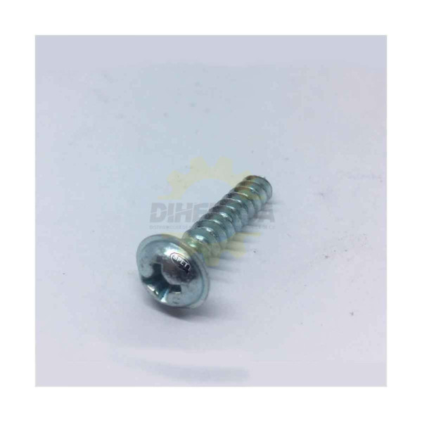 1613490022 TORNILLO AVALLANADO TORX | DIHERESA