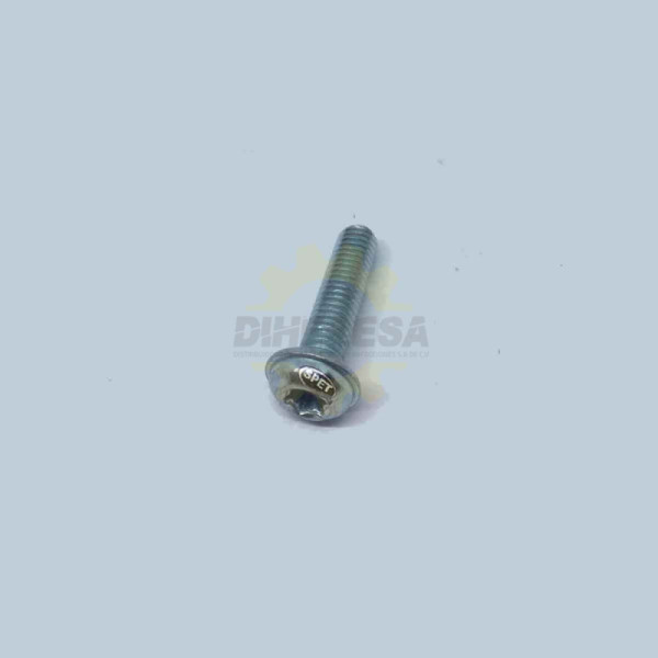 1613490024 TORNILLO AVALLANADO TORX | DIHERESA