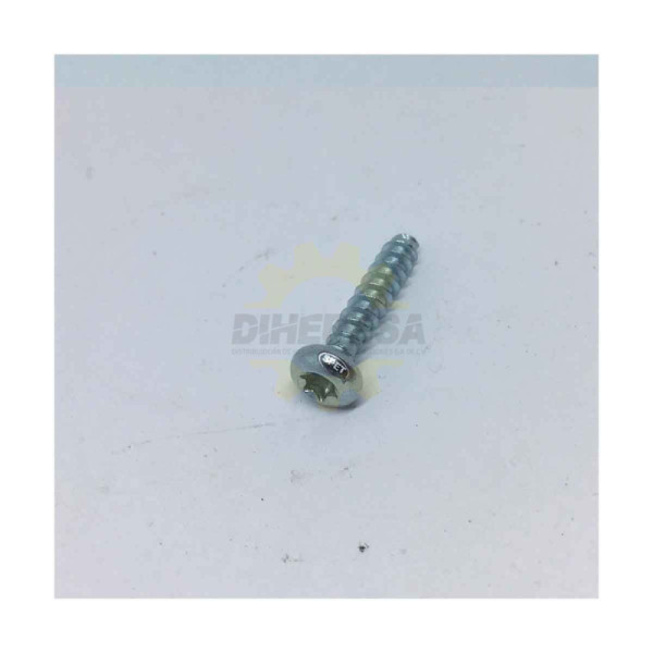 1613490027 TORNILLO AVALLANADO TORX | DIHERESA