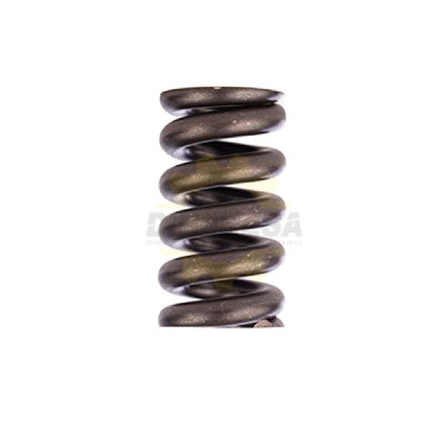 1614614009 MUELLE DE COMPRESION | DIHERESA