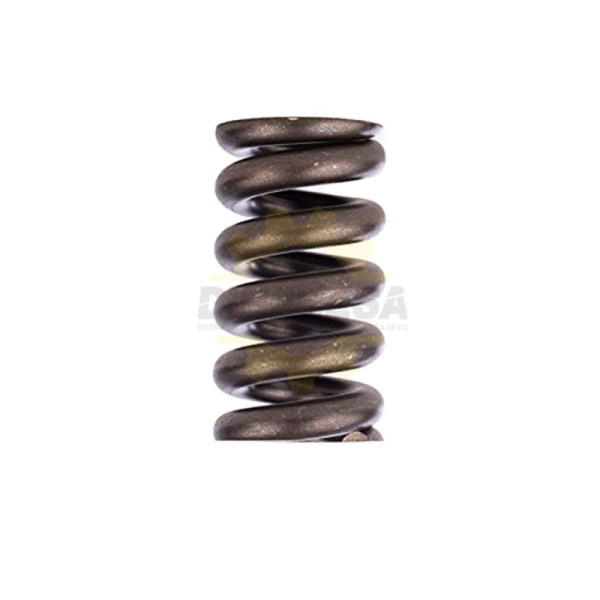 1614614009 MUELLE DE COMPRESION | DIHERESA