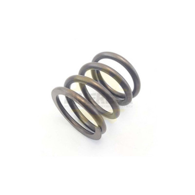 1614619005 MUELLE DE COMPRESION | DIHERESA