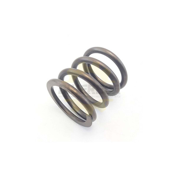 1614619005 MUELLE DE COMPRESION | DIHERESA