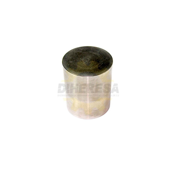 1618710039 GOLPEADOR | DIHERESA