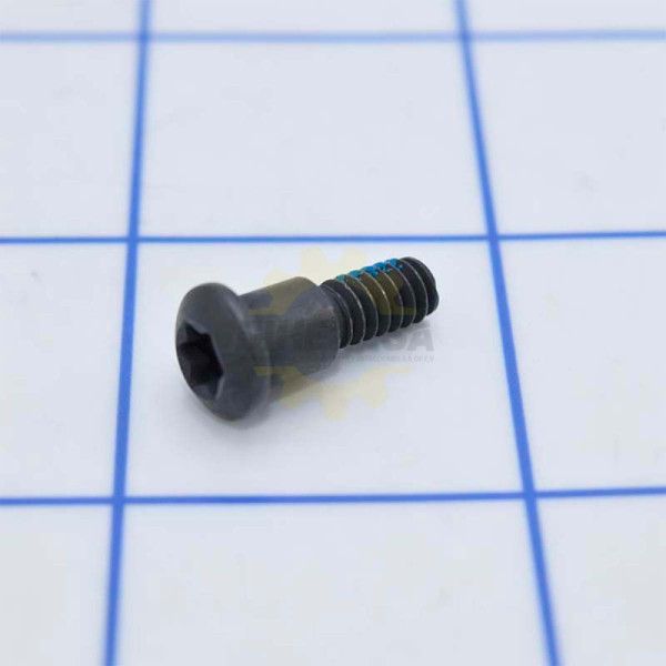 1619X04738 TORNILLO | DIHERESA