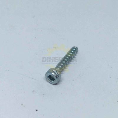 2603490023 TORNILLO AVALLANADO TORX BOSCH