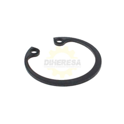 2916660008 ANILLO DE SEGURIDAD | DIHERESA