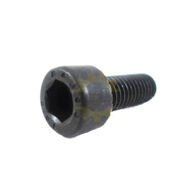 F000616134 TORNILLO CILÍNDRICA HEX | DIHERESA