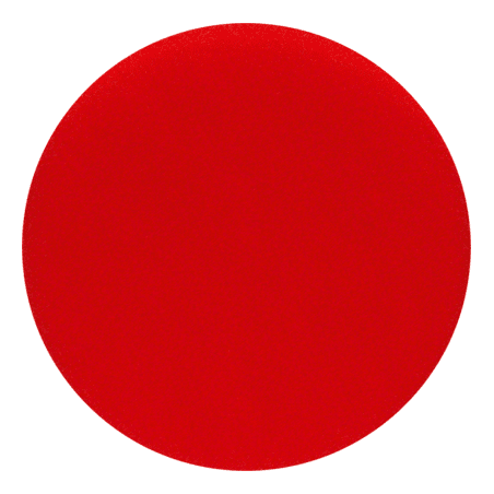 2608613005 ESPONJA | LIJADORA | 130mm