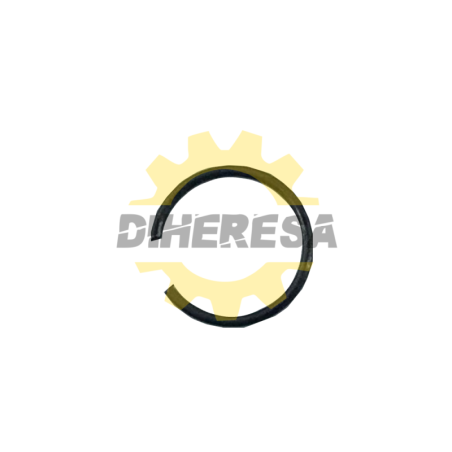 1610224009 ANILLO ELÁSTICO | DIHERESA