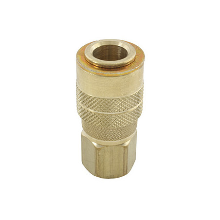 BD1020 CONEXIÓN RAPIDA HEMBRA 1/4" 713BK GUARDA