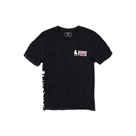 AP0030 PLAYERA PROMOCIONAL MANGA CORTA T-CH