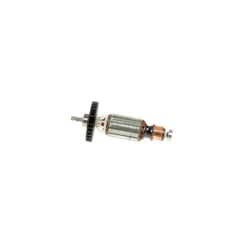 N566881 SA Armature Complete DTV 44 mm LV con PA N566881 SA Armature Complete DTV 44 mm LV con PA