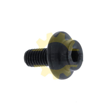 89240034007 Tornillo Ryobi
