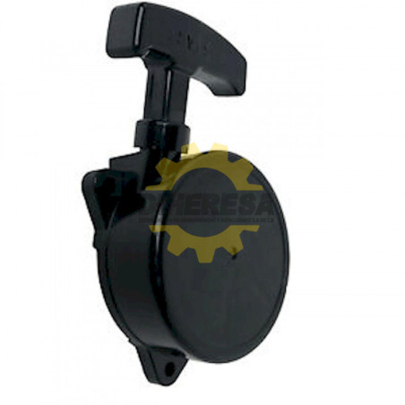 126165-1 SISTEMA DE ARRANQUE P/PM7650H (ANTES 5975001000)