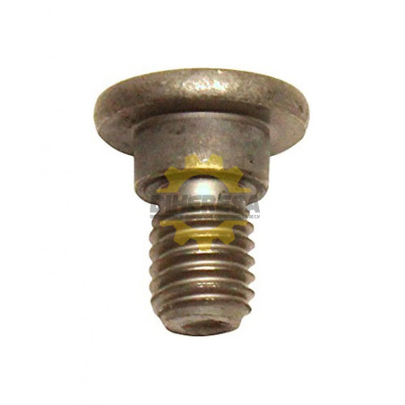 251217-0 TORNILLO M8 P/2012
