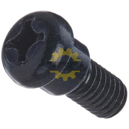 251267-5 TORNILLO M6 P/LS1013,LS003G,CS002G