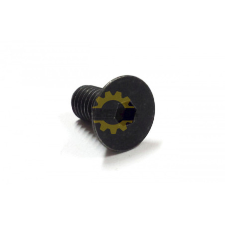 251951-2 TORNILLO DE CABEZA HEXAGONAL M5X10 P/DLM480