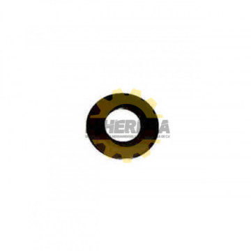 253055-6 ARANDELA PLANA 12...