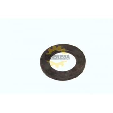 253845-7 ARANDELA PLANA 31...