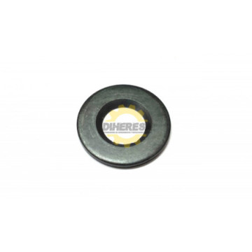 253937-2 ARANDELA PLANA 18 P/6905B