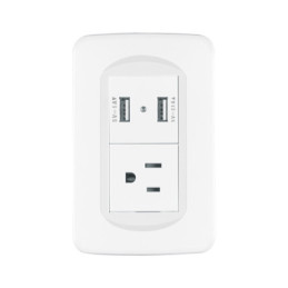 COUSB-TB Placa armada 1contacto y 2 puertos USB 1.5 módulos, Toledo