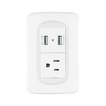 COUSB-TB Placa armada 1contacto y 2 puertos USB 1.5 módulos, Toledo