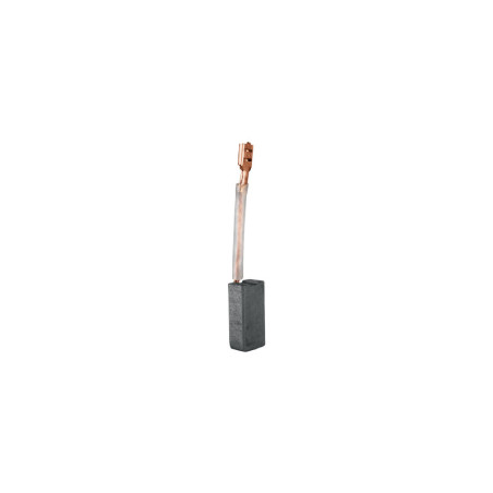 CB-ROEL-60A Bolsa con 2 carbones de repuesto para ROEL-60A, TRUPER