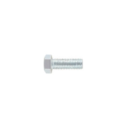 TORM-5/8X1-3/4 Bolsa con 10 tornillos 5/8' x 1-3/4' tipo máquina, FIERO