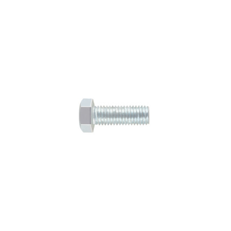 TORM-5/8X1-3/4 Bolsa con 10 tornillos 5/8' x 1-3/4' tipo máquina, FIERO
