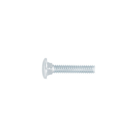 TORC-1-4X1-1-4 Tornillo tipo coche, 1/4 x 1-1/4', bolsa con 100 piezas TRUPER | DIHERESA