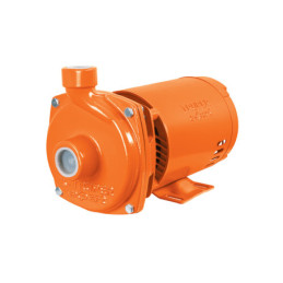 BOAC-1AX Bomba centrífuga para agua, 1 HP, Truper Expert
