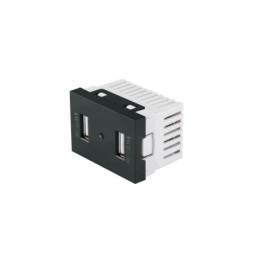 C2USB-LN Toma con 2 puertos USB negro de 1.5 módulos, línea Lisboa